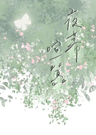 夜幕喧嚣（偽骨科）